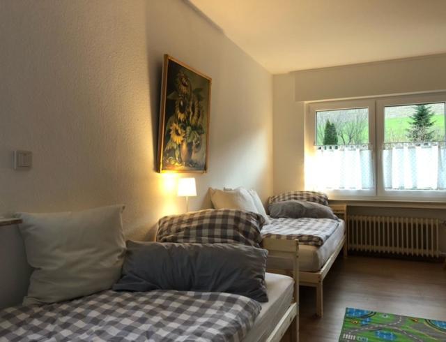 Ferienwohnung Paeusken Im Hochsauerland- E- Bike Und Auto Laden Moeglich Бествиг Экстерьер фото